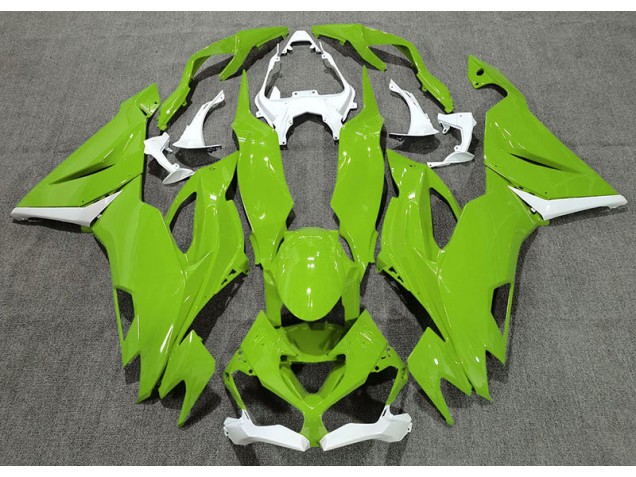 Gloss Green & White 2019-2020 Kawasaki ZX6R Motorcycle Fairings