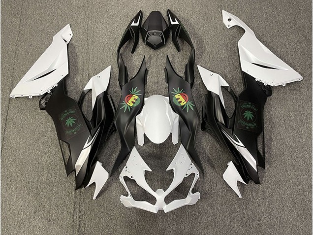 Happy Face 2019-2020 Kawasaki ZX6R Motorcycle Fairings