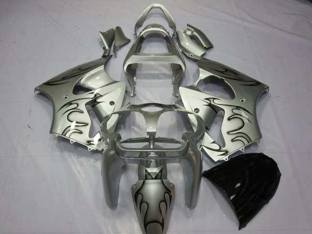 Silver Flame 2000-2002 Kawasaki ZX6R Motorcycle Fairings